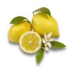 Limoni Naturali 1kg